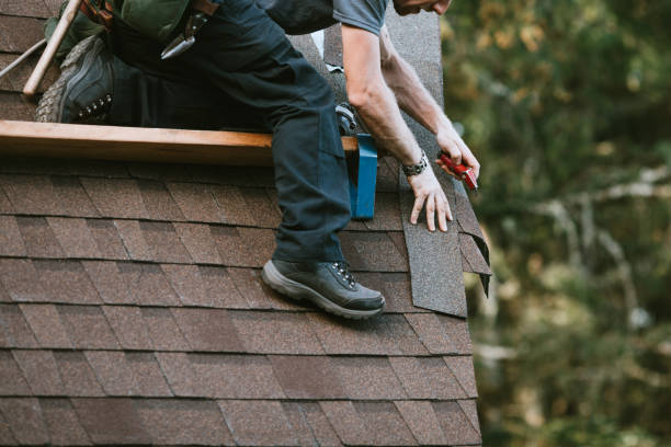 Best Gutter Installation and Roofing  in Cairo, IL